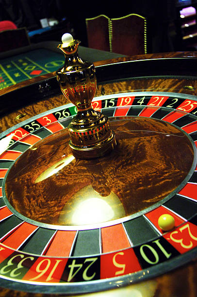 11xplay Mobile Experience – Betting On the Go, Without Compromise 11xplay.com login